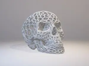 Skull of ART