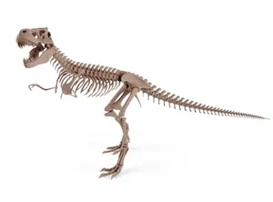 (скелет) Skeleton