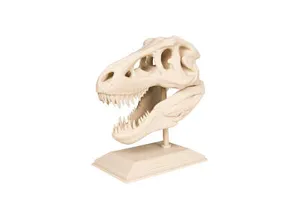 Череп динозавра T-Rex