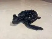 Морская черепаха
