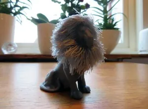 Lion with hair