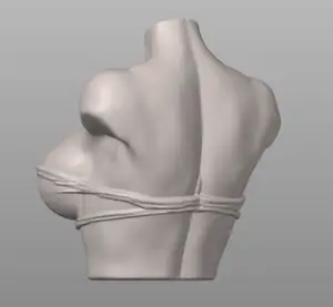 Женский бюст