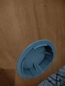 Телепорт для кота сквозь дверь