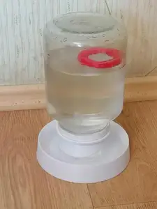 Поилка для подрощенных цыплят с рег...
