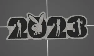 Символ 2023 года PlayBoy на холодил...