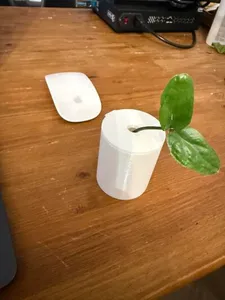 баночка для размножения растений