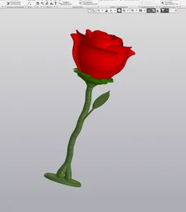Цветок розы