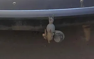 коза на фаркоп