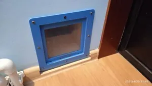 Дверь для кота