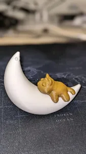 Котик на месяце