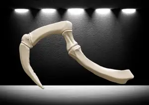 Dragonclaw Hook