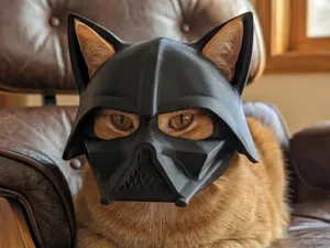 Шлем для кошки в стиле Дарта Вейдер...