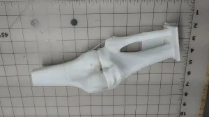 Articulating Knee: Femur, Meniscus, Tibia, Fibula