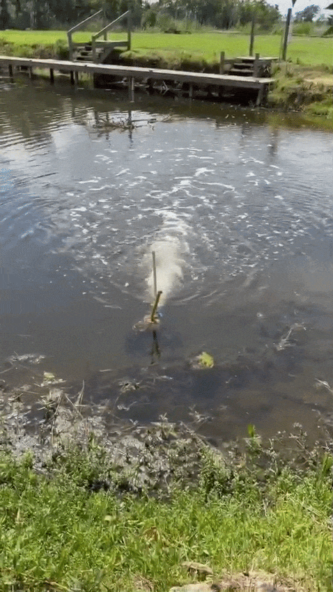 Heavy-Duty 2" PVC Venturi Aerator | Pond & Aquaculture