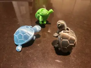 Baby Turtle