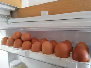 Egg Tray