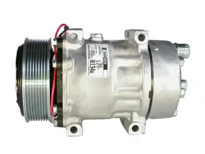 Sanden 4666