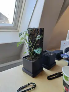 Moss pole/holder for propagation pot