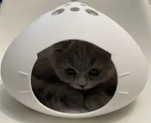 cat house 猫窝