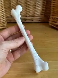 Fidget Femur