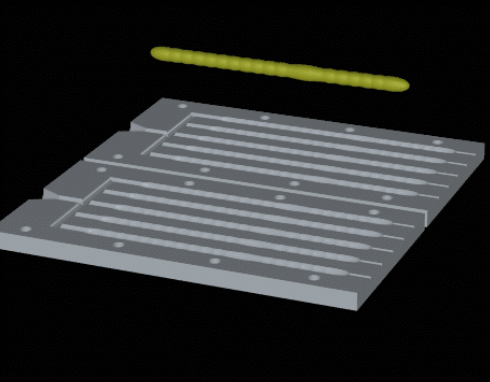 Fishing worm bait / lure mold