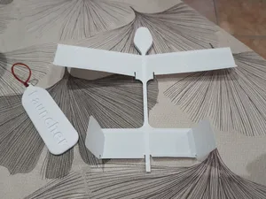 Planeur + Lanceur