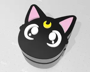 Sailor Moon Luna's box