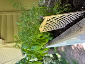 Miniature Lattice for Plant Support