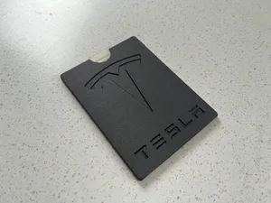 Vehicle registration Case - Tesla