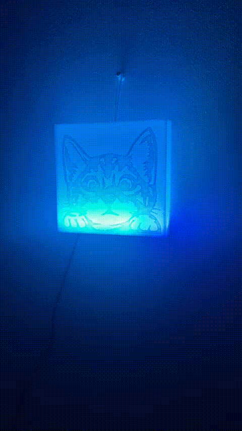 Cute Cat Light Box 