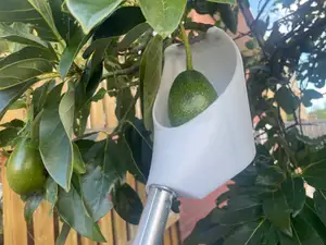 Fruit picker with cutter