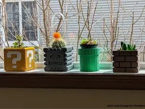 Super Mario Planters