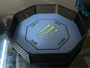 UFC Octagon Cage Model (Standard Canvas)