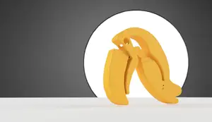 Toucan Clip