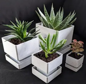Square Pot with Integrated Tray
