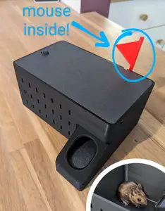 Live multi-catch mouse trap with catch indicator