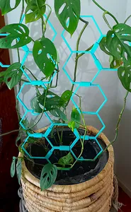 Planter climbing support stake