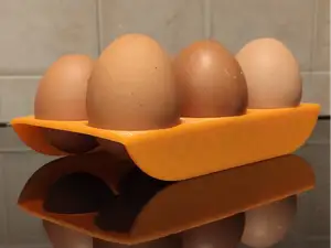 egg holder