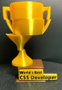 World's Best CSS Developer