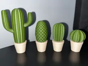 Cactus set
