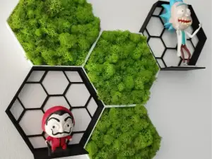 蜂窝架,青苔架,墙面装饰,植物收纳格子