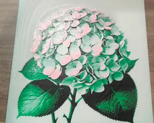 hortensia