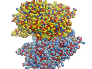 3lpf