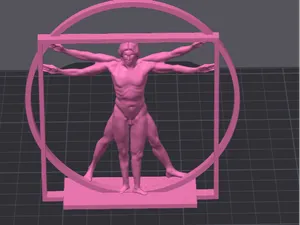 vitruvian man