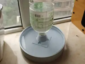 猫咪喝水碗