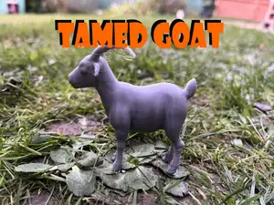 A tame goat