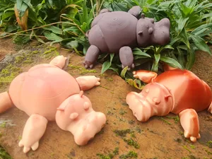 Hippopotamus flexi