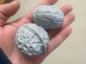 核桃(太开门了)
