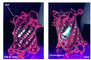 A proper GFP model