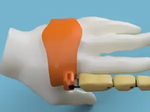 extra finger/prosthesis finger